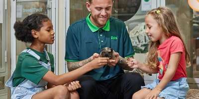 Pets at Home Workshops